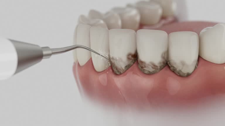 Reliable Dental contractor in Germantown, MD by Dentist Open Now